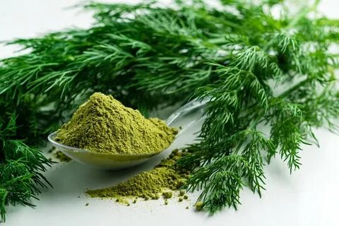 قیمت عمده فروشی سبزی شوید خشک + ارسال سریع